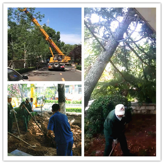 暴雨來(lái)襲 “中房物業(yè)人”溫暖業(yè)主心2.jpg